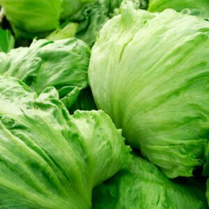 Ice Lettuce